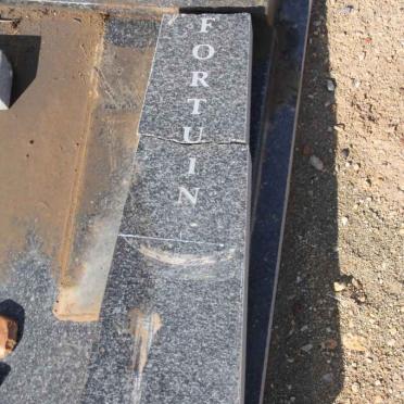 FORTUIN Alfred William 1978-2011