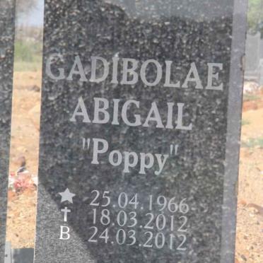 HOTTIE Gadibolae Abigail 1966-2012