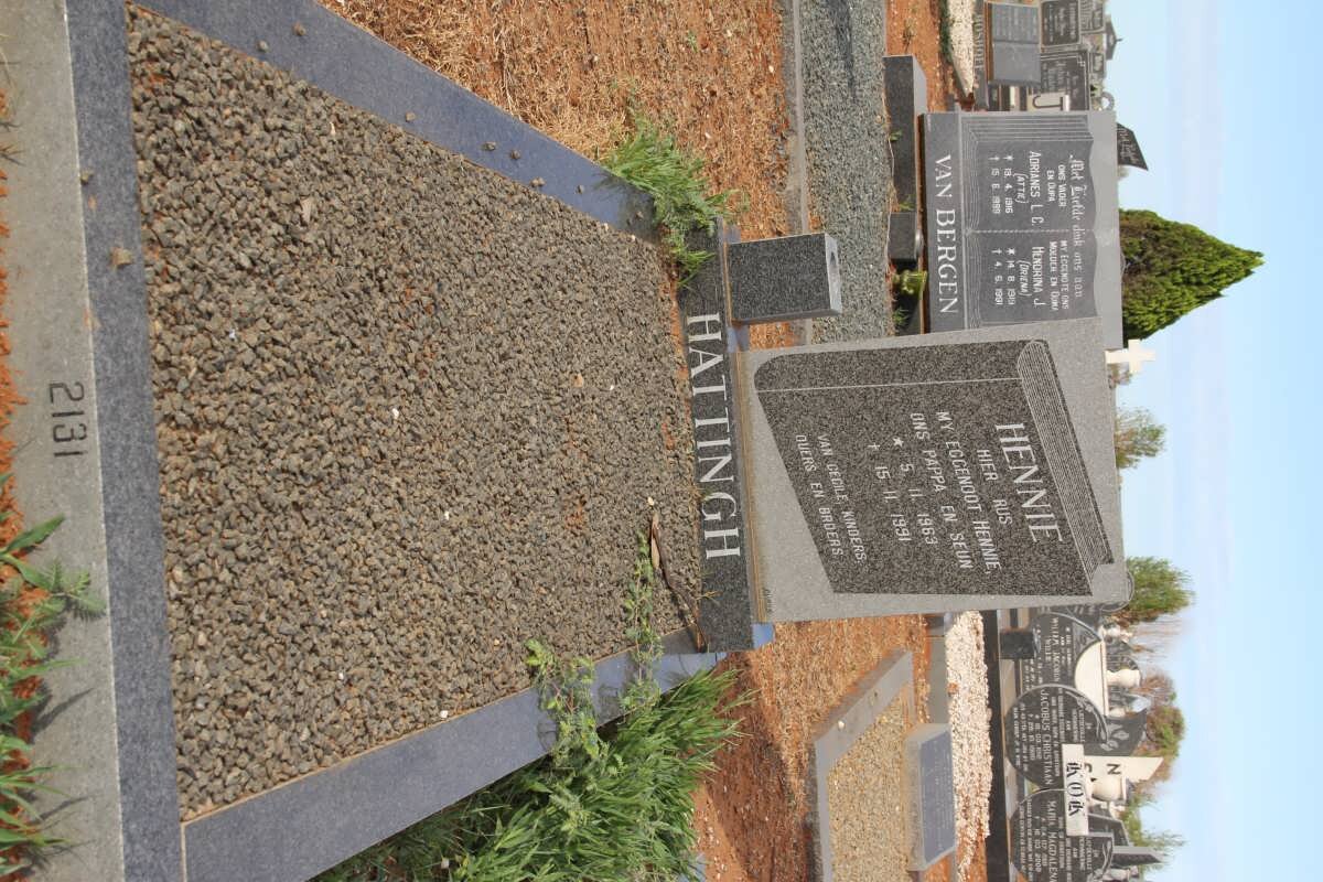 HATTINGH Hennie 1963-1991