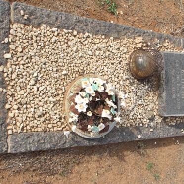 NEL Willem 1955-1955