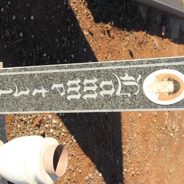 TREURNICH Lammetjie 1963-1984