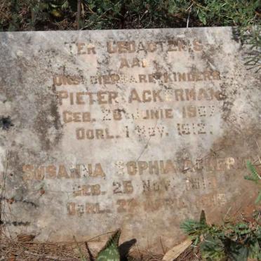 ACKERMAN Pieter 1907-1912 :: ACKERMAN Susanna Sophia 1913-1915