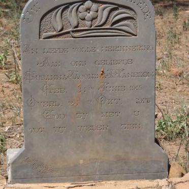 HANEKOM Susanna Jacomina 1916-1917