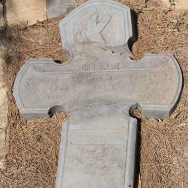 MOLLETT Jacobus Christoffel 1909-1910