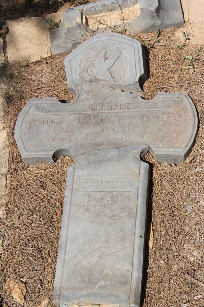 MOLLETT Jacobus Christoffel 1909-1910