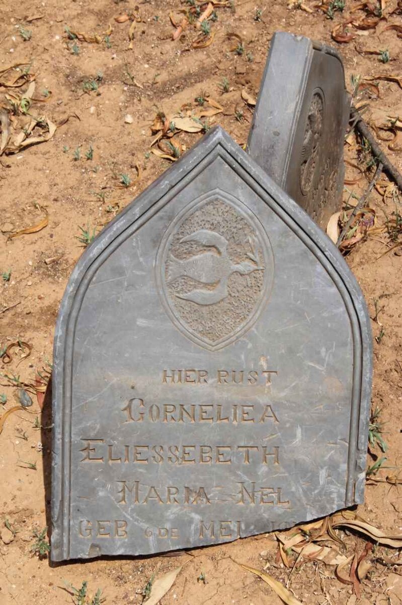 NEL Corneliea Eliessebeth Maria