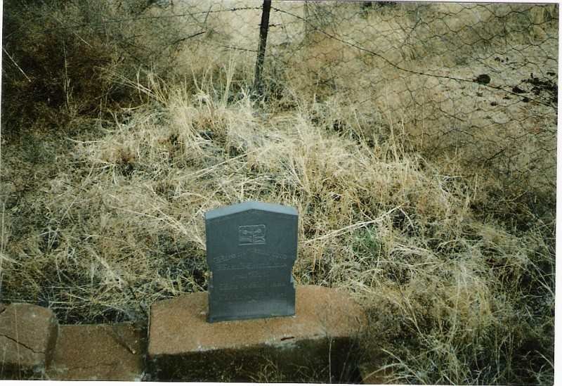 ZYL Maria Magdalena, van