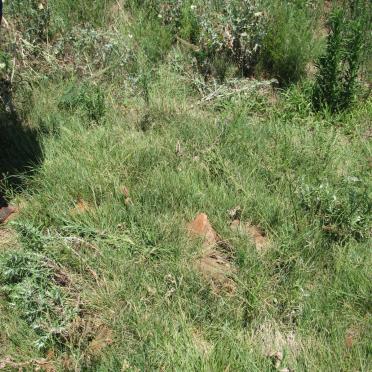 LEMMER Hermanus Richard