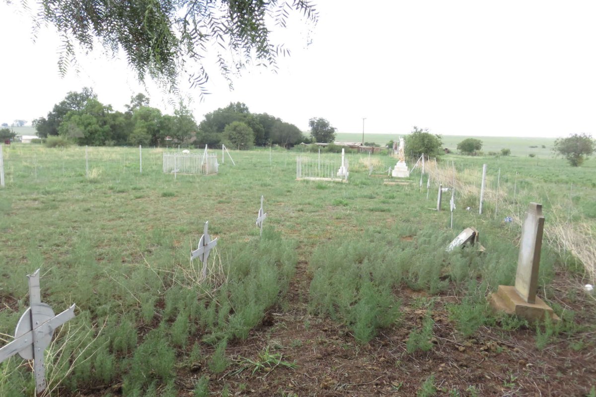 2. Overview / Oorsig