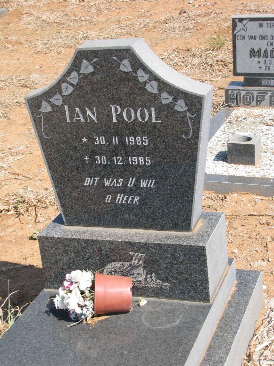 POOL Ian 1985-1985