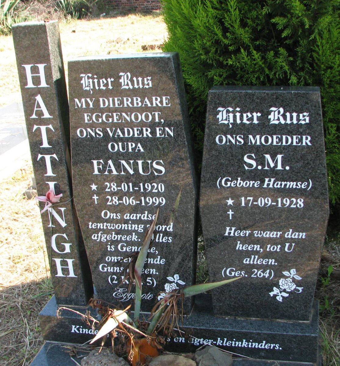 HATTING Fanus 1920-1999 &amp; S.M. HARMSE 1928-