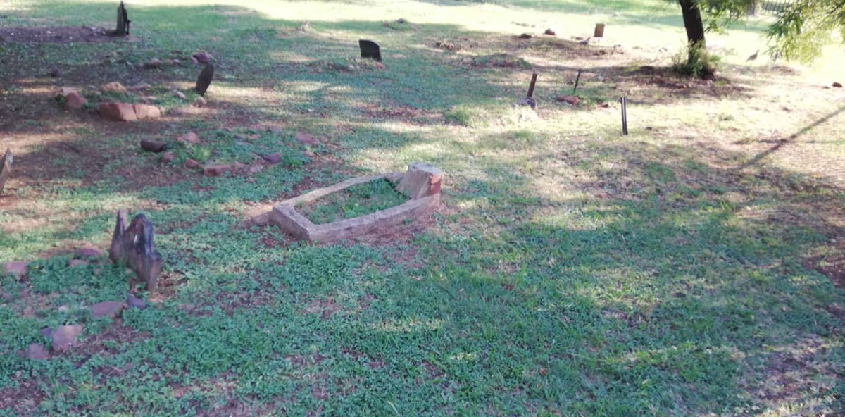 3. Overview / Oorsig