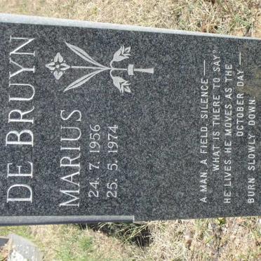 BRUYN Marius, de 1956-1974