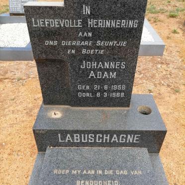 LABUSCHAGNE Johannes Adam 1956-1968