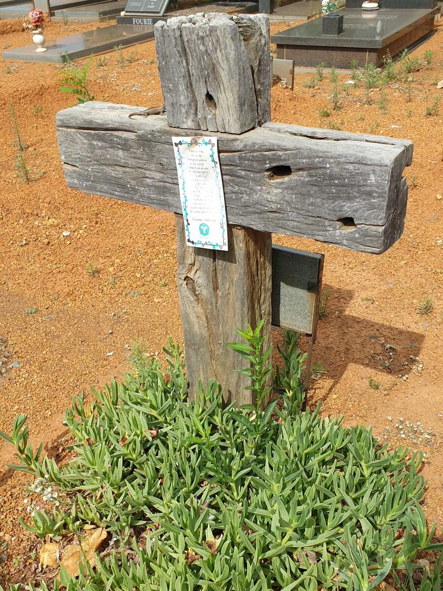 TOIT Koos J.F., du 1980-2014