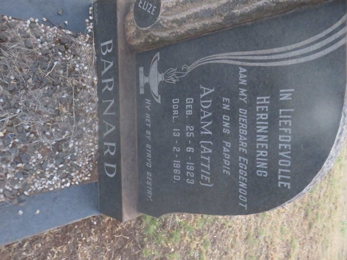 BARNARD Adam 1923-1960