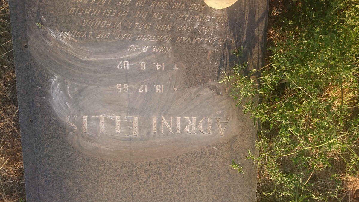 ELLIS Adrini 1965-1982