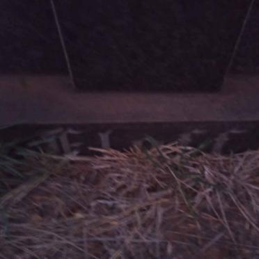 ELOFF Frederik Christoffel 1894-1970 &amp; Elizabeth Helena 1903-1972