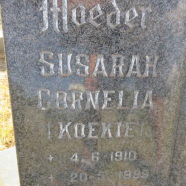 ? David Johannes 1906-1978 &amp; Susarah Cornelia 1910-1999
