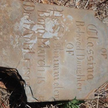 BRUMMELEN Classina, v. -1802