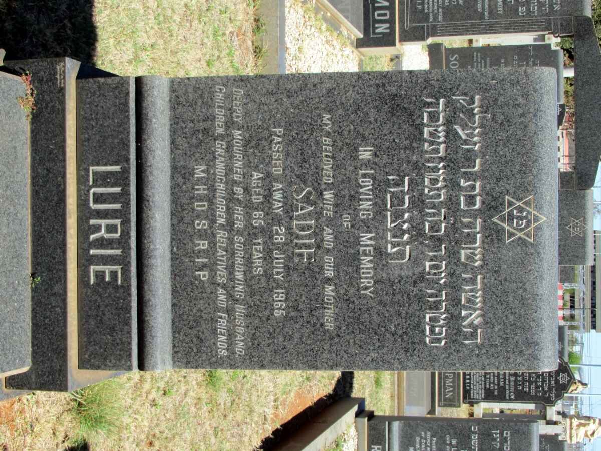 LURIE Sadie -1965