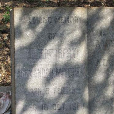 MITCHELL Albert Alexander -1960