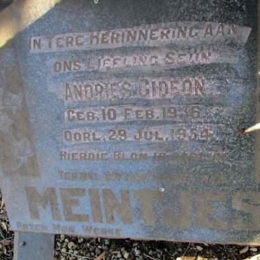 MEINTJES Andries Gideon 1936-1954