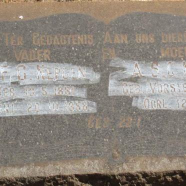 NEPGEN G.F.G. 1861-1958 &amp; A.S.C. VORSTER 1884-1948