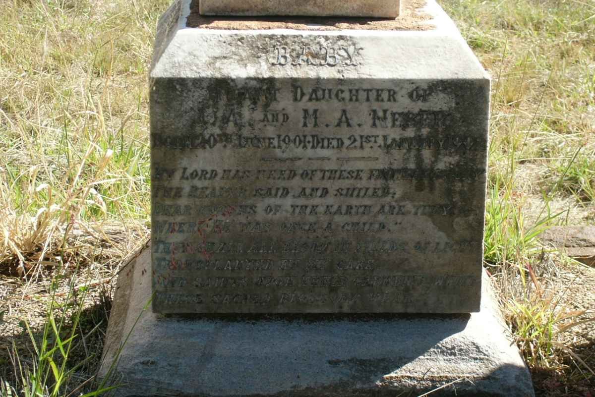 NESER Baby 1901-1902