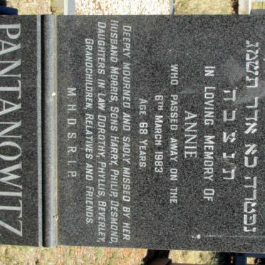 PANTANOWITZ Annie -1983