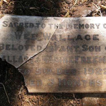 FREEMAN Wee Wallace -1922