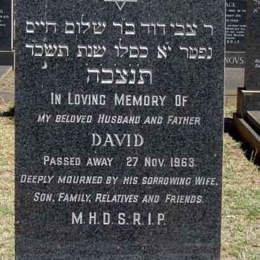 ROTSTEIN David -1963