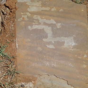 SWANEPOEL Johannes Gerhardus 1854-1923