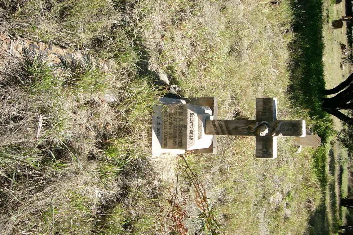 SCHUSTER Harrisson Richard -1901