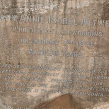 ATTWELL Mary Annie Isobel -1919