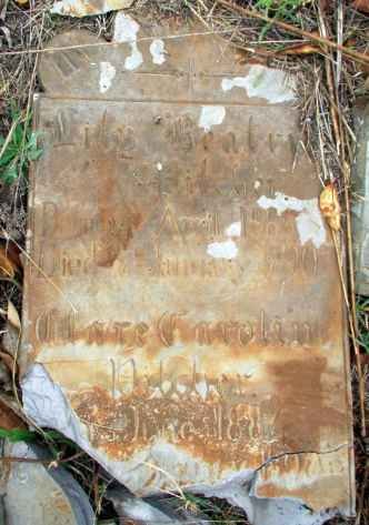 ? Lily Beatrix :: ? Clare Caroline 188?-190?