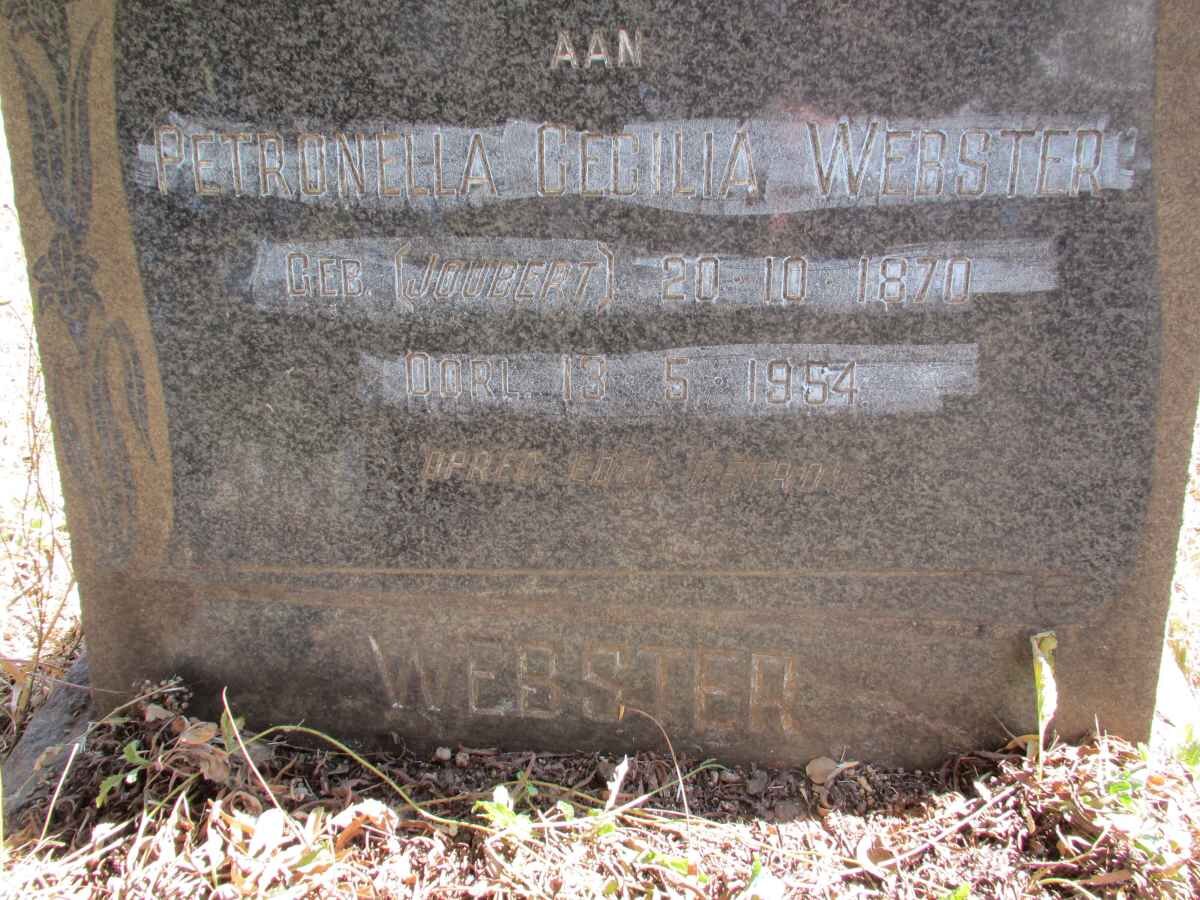 WEBSTER Petronella Cecilia nee JOUBERT 1870-1954