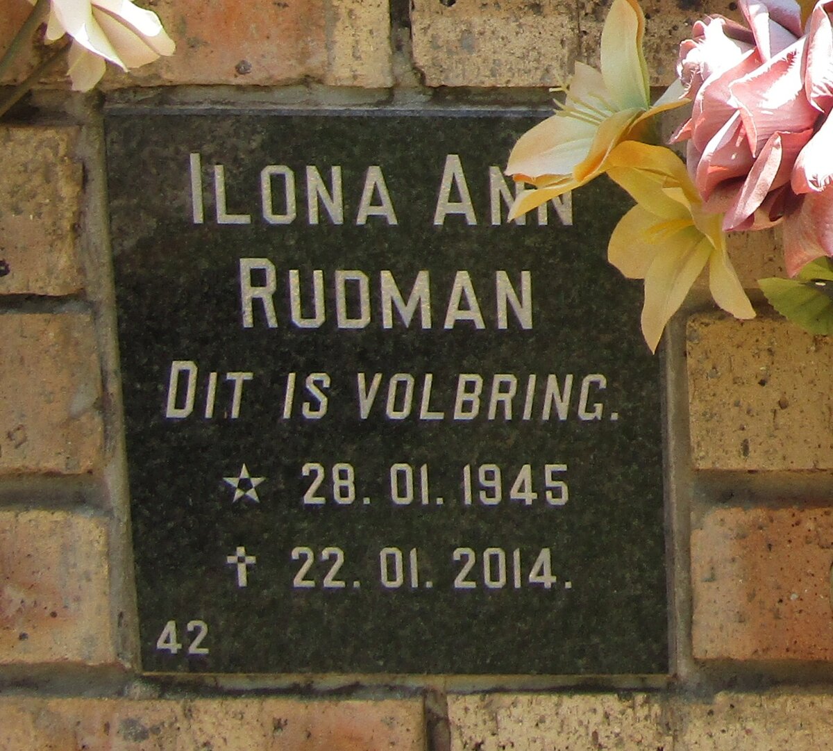 RUDMAN Ilona Ann 1945-2014