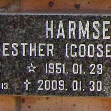HARMSE Esther nee GOOSEN 1951-2009