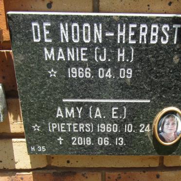 HERBST J.H., de Noon 1966- &amp; A.E. PIETERS 1960-2018
