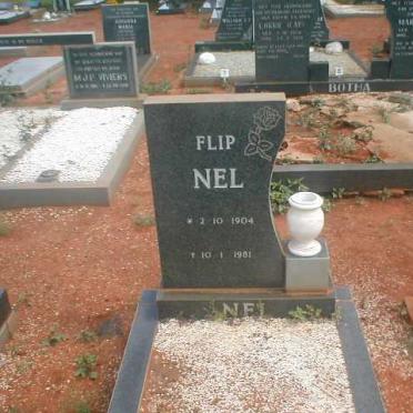 N - Surnames starting with the letter N