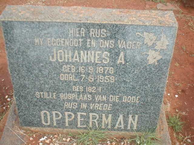 OPPERMAN Johannes A 1870-1959