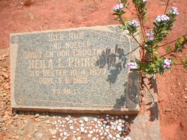 PRINSLOO Heila L. nee BESTER 1877-1963