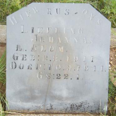 BLOM Johanna L. 1911-1911