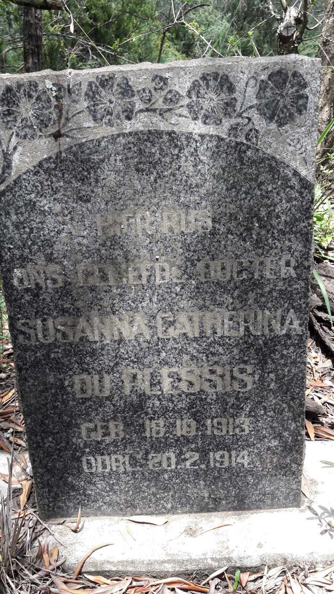 PLESSIS Susanna Catherina, du 1913-1914