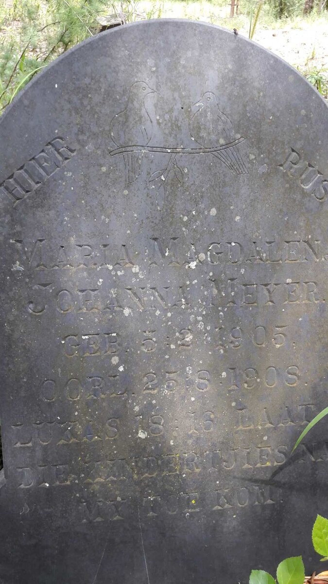 MEYER Maria Magdalena Johanna 1905-1908