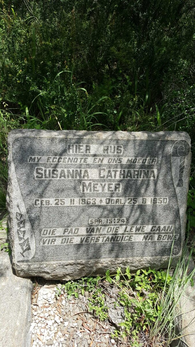 MEYER Susanna Catharina 1863-1950