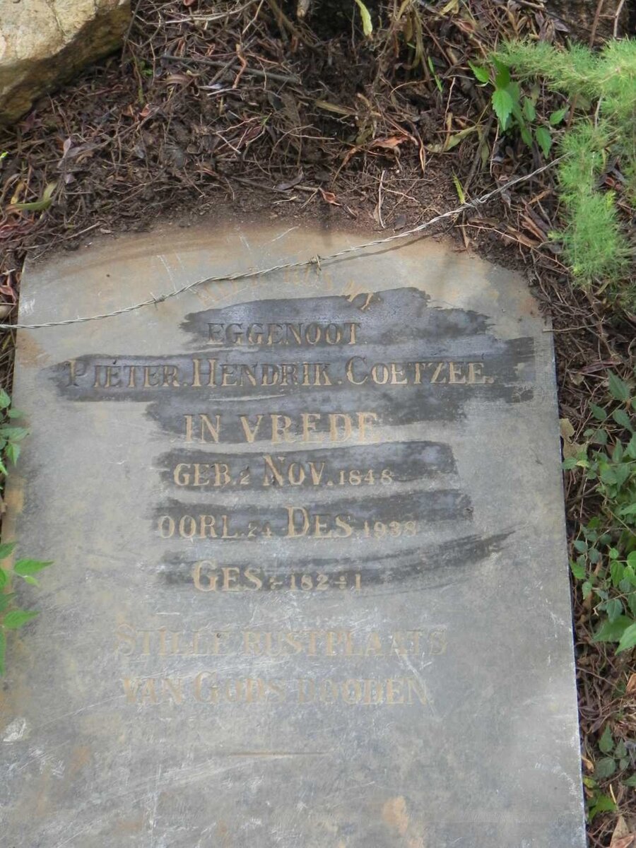 COETZEE Pieter Hendrik 1848-1938