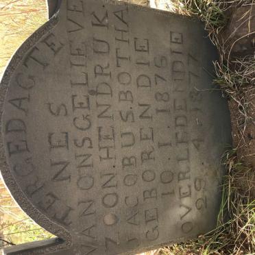 BOTHA Hendruk Jacobus 1876-1877