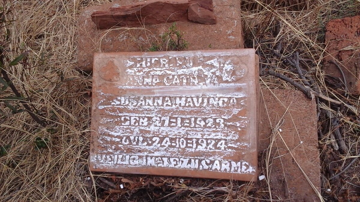 HAVINGA Anna Catrina Susanna 1923-1924